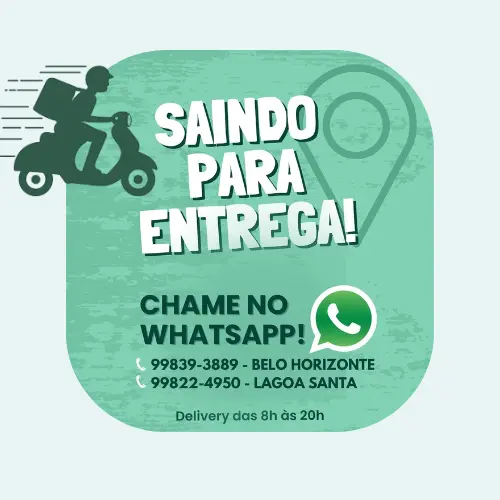 Moto de Entrega Rápida